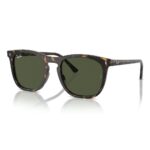 Kính mát RayBan 0RB2210F - Tem Chính Hãng Luxottica