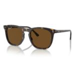 Kính mát RayBan 0RB2210F - Tem Chính Hãng Luxottica