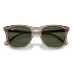 Kính mát RayBan 0RB2210F - Tem Chính Hãng Luxottica