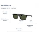 Kính Mát RayBan 0RB2222F - Tem Chính Hãng Luxottica
