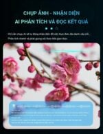 Aison CACY01 Kính Thông Minh AI - Bộ Tròng Thay Thế