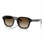 Ray-Ban 0RB4458D Kính Mát - Tem Chính Hãng Luxottica