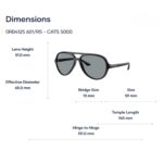 RayBan Cats 5000 0RB4125 Kính Mát Pilot – Tem Chính Hãng Luxottica
