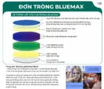 Tròng Kính Hai Tròng Zen Optic Bifocal BlueMax ImpactPro 1.59 - Chính Hãng