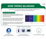 Tròng Kính Chống Ánh Sáng Xanh Zen Optic Double ASPH Pro BlueMax 1.67 - Chính Hãng