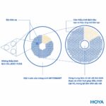 Hoya MiYOSMART – Tròng Kính Kiểm Soát Cận Thị Trẻ Em