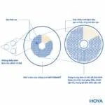 Hoya MiYOSMART – Tròng Kính Kiểm Soát Cận Thị Trẻ Em