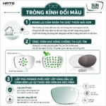 Chemi Photo Gray 1.60 ASP Tròng Kính Đổi Màu Chính Hãng