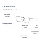 Ray-Ban 0RX8776D Gọng Kính - Tem Chính Hãng Luxottica
