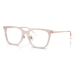 Ray-Ban 0RX5442D Gọng Kính - Tem Chính Hãng Luxottica
