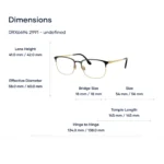 Ray-Ban 0RX6494 Gọng Kính - Tem Chính Hãng Luxottica