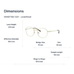 Ray-Ban 0RX8778D Gọng Kính Titanium - Tem Chính Hãng Luxottica