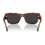 Kính Mát Ray-Ban Carlos 0RB0947SF - Tem Chính Hãng Luxottica