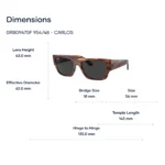Kính Mát Ray-Ban Carlos 0RB0947SF - Tem Chính Hãng Luxottica