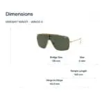 Ray-Ban Wings II 0RB3697 Kính Mát - Tem Chính Hãng Luxottica