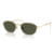 001/31 Arista gold