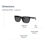 Ray-Ban 0RB4466D Kính Mát - Tem Chính Hãng Luxottica