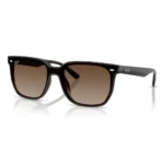 Ray-Ban 0RB4466D Kính Mát - Tem Chính Hãng Luxottica