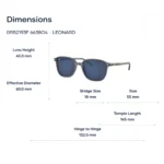 Ray-Ban Leonard 0RB2193F Kính Mát - Tem Chính Hãng Luxottica - Ảnh 2