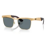 Ray-Ban Wayfarer Deluxe 0RB3875 Kính Mát – Tem Chính Hãng Luxottica