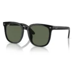 Ray-Ban 0RB4401D Kính Mát - Tem Chính Hãng Luxottica