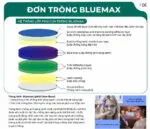 Tròng Kính Hai Tròng Zen Optic Bifocal BlueMax 1.56 - Chính Hãng