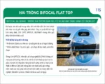 Tròng Kính Hai Tròng Zen Optic Bifocal BlueMax 1.56 - Chính Hãng