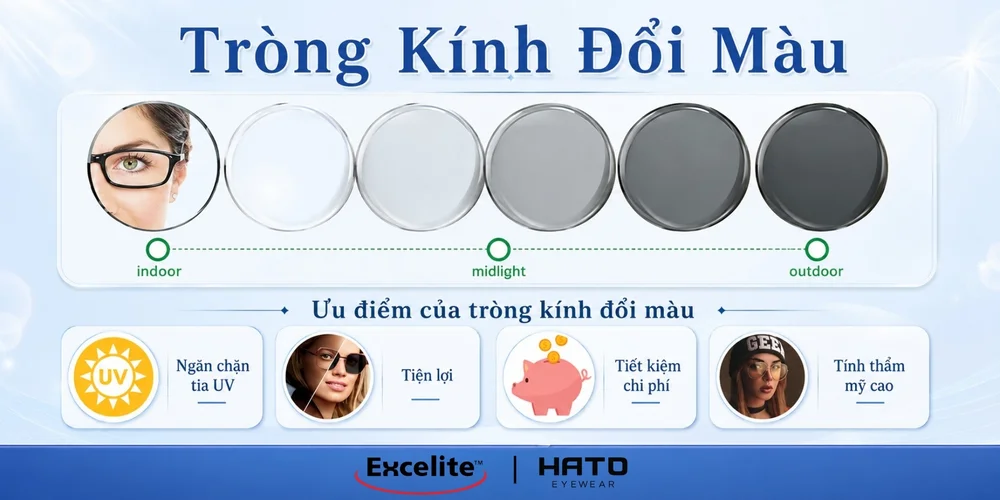 Review Tròng Kính Đổi Màu Khói Excelite SunSensors: Sự Lựa Chọn Tiện Lợi Cho Mùa Hè