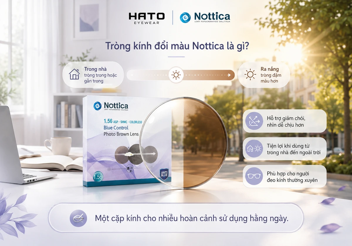 Tròng kính đổi màu Nottica Photo Brown Lens tại Hato Eyewear