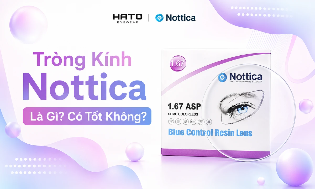 Ảnh đại diện blog Tròng Kính Nottica Là Gì Có Tốt Không với bao bì tròng kính Nottica và logo Hato Eyewear.