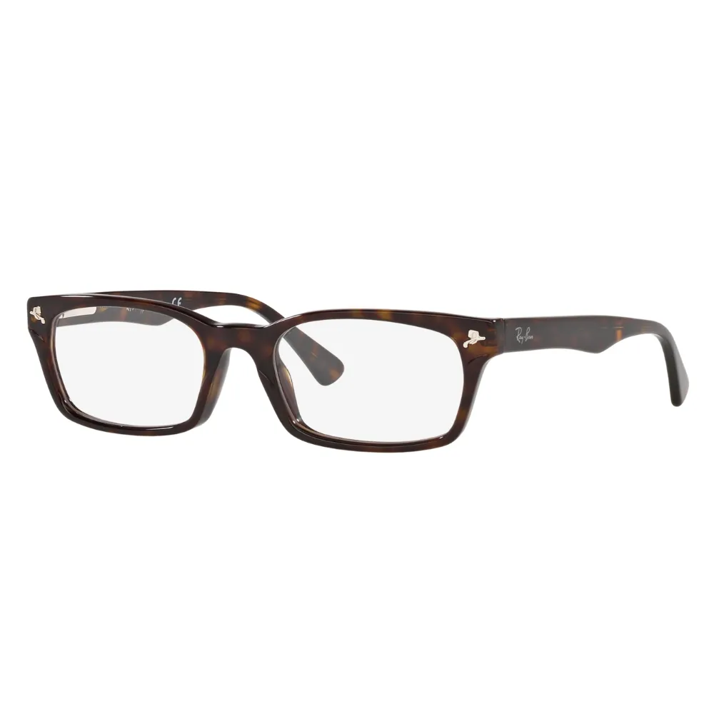 Gọng Kính RayBan 0RX5017A - Tem Chính Hãng Luxottica