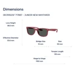 Ray-Ban Junior New Wayfarer 0RJ9052SF Kính Mát Trẻ Em