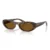 W65683 Dark havana, polarized