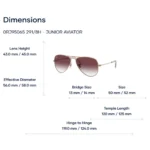 Ray-Ban Junior Aviator 0RJ9506S Kính Mát Trẻ Em