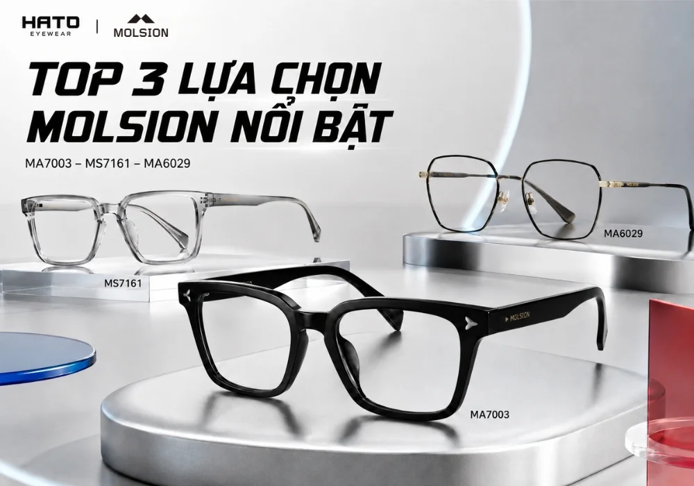 Top 3 lựa chọn Molsion nổi bật gồm MA7003, MS7161 và MA6029 được trưng bày trong không gian sản phẩm kính mắt cao cấp.