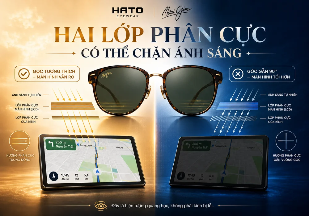 Infographic giải thích vì sao kính phân cực Maui Jim có thể làm màn hình LCD tối hơn khi góc nhìn xoay gần 90 độ.