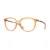 815005 - Polished Transparent Ginger