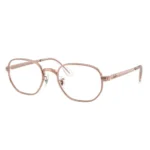 Gọng kính Ray-Ban 0RX6559 màu đồng 2943