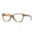 802905 - Matt ginger tortoise