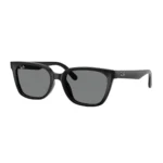 Kính Mát Ray-Ban 0RB2243D chính hãng gọng Havana sọc