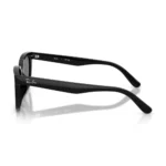 Kính Mát Ray-Ban 0RB2243D chính hãng gọng Havana sọc