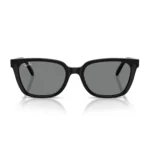 Kính Mát Ray-Ban 0RB2243D chính hãng gọng Havana sọc