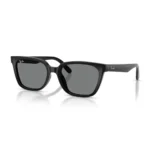 Kính Mát Ray-Ban 0RB2243D chính hãng gọng Havana sọc