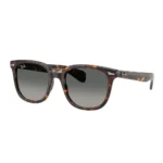 Kính Mát Ray-Ban Brunel ii 0RB2235F - Tem Chính Hãng Luxottica