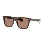 Kính Mát Ray-Ban Brunel ii 0RB2235F - Tem Chính Hãng Luxottica