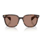 Kính Mát Ray-Ban Brunel ii 0RB2235F - Tem Chính Hãng Luxottica