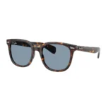 Kính Mát Ray-Ban Brunel ii 0RB2235F - Tem Chính Hãng Luxottica